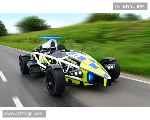 F1赛车燃料策略对比赛结果的影响