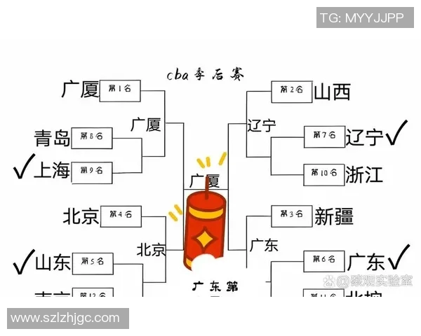 CBA球队赛季阵容调整及战绩影响