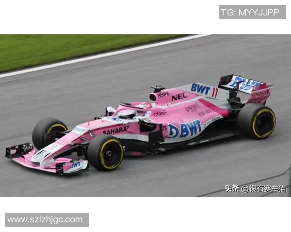 F1赛季车队排名及车手表现总结