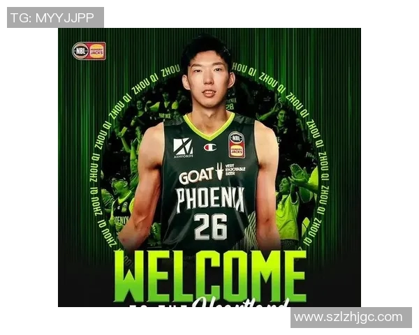 CBA球队青年球员成长路径及培养策略