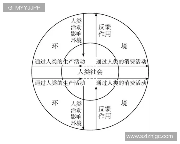 传球成功率与球队胜率的关系探究及其影响因素分析